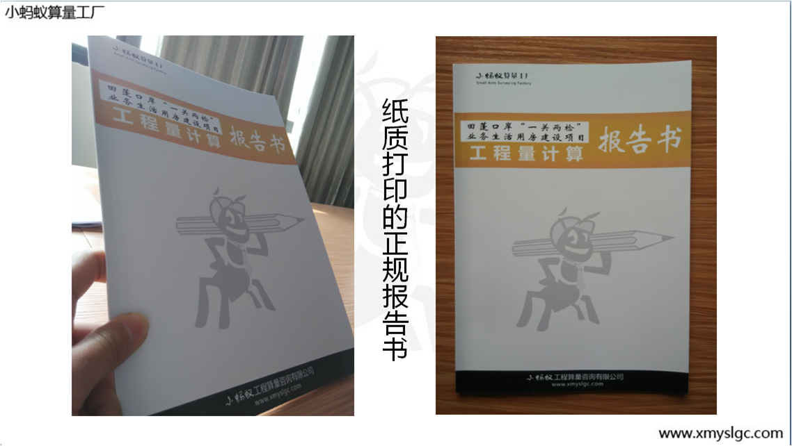 ֽʴӡ汨